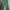 Casual Wanita green photo 3