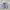 Casual Cardigan Pria gray photo 1