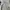 FUCT Vintage Streetwear Sweatshirt Pria gray photo 5