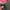 Supreme Vintage Streetwear Pria red photo 3