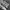 VANS Vintage Streetwear Pria white black photo 2