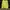 Nike Streetwear Sportswear Sweatshirt Pria yellow photo 1