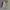 Levi's Streetwear Y2K Casual pants Pria tan cream photo 1