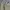 Levi's Streetwear Y2K Casual pants Pria tan cream photo 5