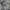 Grooverhyme Streetwear Casual Hoody Pria gray photo 5