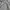 Grooverhyme Streetwear Casual Hoody Pria gray photo 1