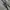 Grooverhyme Streetwear Casual Hoody Pria gray photo 6