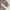 Japanese brand Coquette Midi dress Wanita tan photo 4