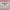 Coquette Sweater Wanita white pink photo 3