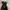 H&M Y2K Luxury Prom dress Wanita black photo 3