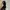 H&M Y2K Luxury Prom dress Wanita black photo 4