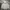 Thrasher Streetwear Skater Hoody Pria gray photo 1