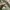Uniqlo Casual Bomber jacket Pria green photo 7