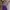 Vintage Casual Blouse Wanita purple pink photo 3