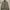 National Geographic Avant Garde Casual Bomber Jacket Pria Gray