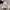 Wolsey Casual T-shirt Pria white photo 4