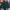Vintage Short Pria green photo 1