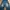 Vintage High waisted jeans Wanita navy photo 1