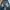 Vintage High Waisted Jeans Wanita Navy