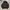 GAP Casual Bomber jacket Wanita black photo 2