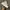 Nike Streetwear Y2K Sneakers Pria white photo 5
