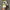 Nike Streetwear Y2K Sneakers Pria white photo 6