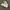 Nike Streetwear Y2K Sneakers Pria white photo 3
