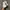 Nike Streetwear Y2K Sneakers Pria white photo 4