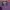 Feltics Futurist Sweatshirt Pria purple photo 6