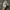 Nike Streetwear Y2K Sneakers Pria white photo 6