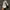Nike Streetwear Y2K Sneakers Pria white photo 4