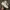 Nike Streetwear Y2K Sneakers Pria white photo 5