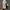 Nike Streetwear Y2K Sneakers Pria white photo 7