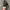 Nike Streetwear Y2K Sneakers Pria black photo 6