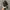 Nike Streetwear Y2K Sneakers Pria black photo 4