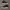 Nike Streetwear Y2K Sneakers Pria black photo 2