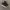 Nike Streetwear Y2K Sneakers Pria black photo 3
