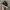 Nike Streetwear Y2K Sneakers Pria black photo 5