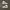 Nike Vintage Streetwear Sneakers Pria white photo 1