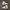 Nike Vintage Streetwear Sneakers Pria White
