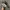 Nike Streetwear Y2K Sneakers Pria blue photo 5