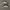 Nike Streetwear Y2K Sneakers Pria blue photo 1
