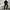 Vintage Minimalist Bomber jacket Pria black photo 5