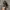 Nike Vintage Streetwear Sneakers Pria black photo 6