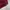 thisisneverthat Streetwear Casual Sweater Pria burgundy red photo 3