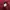 thisisneverthat Streetwear Casual Sweater Pria burgundy red photo 6