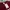 thisisneverthat Streetwear Casual Sweater Pria burgundy red photo 5