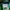 Adidas Casual Track jacket Wanita green photo 6