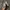 Nike Vintage Streetwear Sneakers Pria gray photo 6