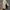 Nike Vintage Streetwear Sneakers Pria gray photo 7